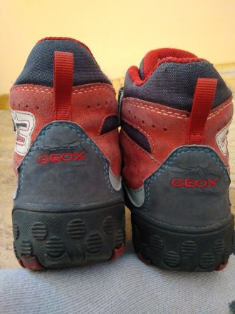 детские ботинки GEOX р.25
длина по подошве 18см
длина по стельке 15,5см. . фото 5