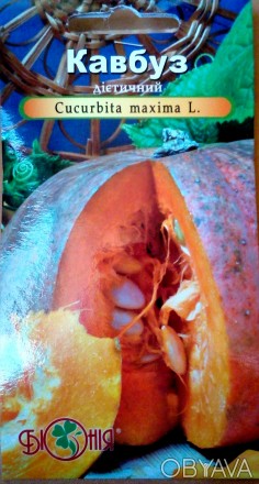 Кавбуз-Гібрид кавуна та гарбуза. Середньостиглий сорт 90-104 дні. Рослина галузи. . фото 1