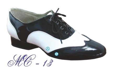 Качественная мужская обувь для танцев туфли универсал для любых танце латина, ст. . фото 3