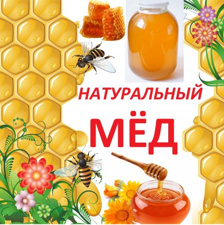 Натуральный мёд из  своем домашней пасеке.

Цена указана за 3л банку.

В бан. . фото 2