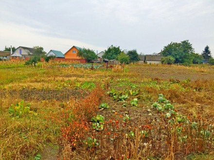 Участок 25 соток приватизированной земли,расположен в пригороде г. Чернигов, в с. . фото 3