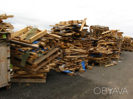 Компанія займається вивезенням дерев`яних
відходів, утилізацією дерев`яних відх. . фото 1