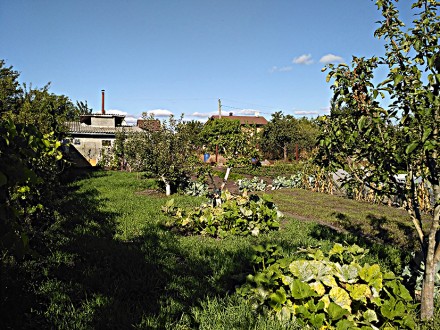 Продається доглянута земельна ділянка в дачному селищі Ровжі Вишгородського райо. Ровжи. фото 2