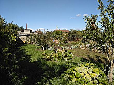 Продається доглянута земельна ділянка в дачному селищі Ровжі Вишгородського райо. Ровжи. фото 1