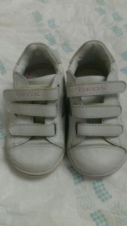  Продам кроссовочки Geox новые, нам привезли с Америки и нам оказались маленькие. . фото 2
