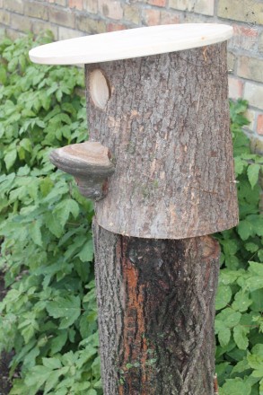 Дупло-дом для белок. Изгововлен с натурального дерева, цельного ствола древесины. . фото 4