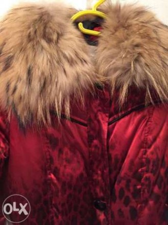 Очень теплая курточка, холофайбер, размер 34-36. Красно- бордовая в пятнышки) По. . фото 8