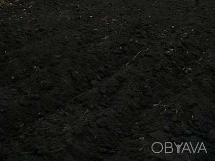 Чернозем плодородный и подсыпка, а также вывоз строительного мусора в Боярку, Ви. . фото 1