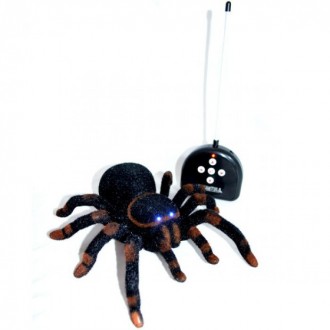 Паук на радиоуправлении Тарантул

Огромный радиоуправляемый мохнатый паук тара. . фото 2