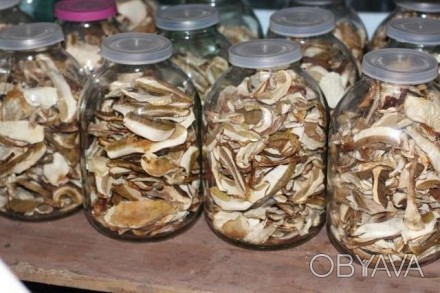 Продам власноручно зібрані і висушені білі гриби,фасування -банка об`ємом 3 літр. . фото 1