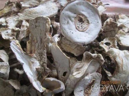 Продам сухие белые грибы урожая 2017 года,собранные в экологически чистых буково. . фото 1