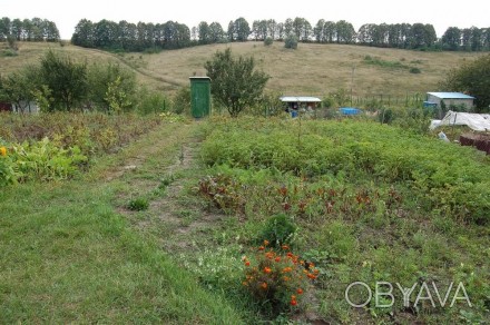 Продам земельный участок (0,08га) под застройку.
Находится в живописном месте м. Васильков. фото 1