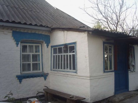 Продам дом с участком 40 соток в с.Бовкун, Таращанский р-н, Киевская обл. 120км.. . фото 3