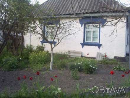 Продам дом с участком 40 соток в с.Бовкун, Таращанский р-н, Киевская обл. 120км.. . фото 1