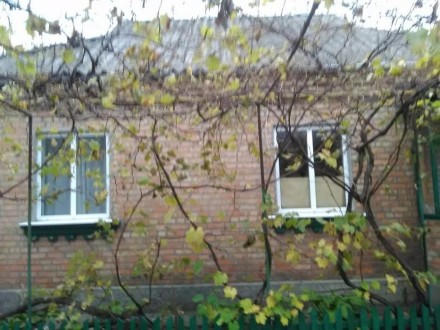 Продаю кирпичный дом 58.9 кв.м, жилая площадь 35,0 кв.м. в г. Новомиргород, Киро. . фото 5