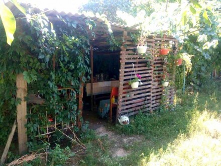 Продам будинок недалеко від річки Південний Буг в центрі села Солгутово (постійн. . фото 4