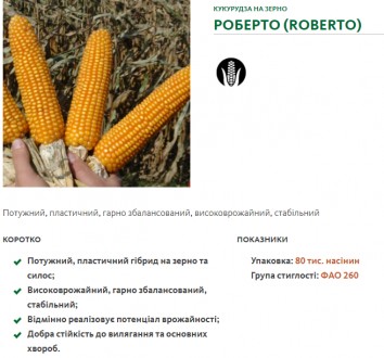 Акція від компанії SAATBAU. Якісне середньораннє насіння (гібриди) кукурузи: Роб. . фото 4