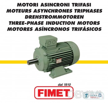 Электродвигатель компании FIMET, Италия тип  1М-1 160М8, высота оси врашения 160. . фото 1