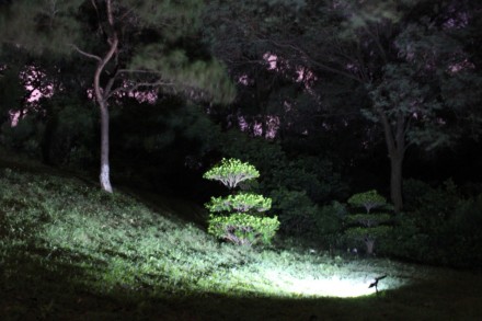 Вуличний всепогодний садовий ліхтар на соняшній батареї.
48 світлодіодів
1,6 в. . фото 6