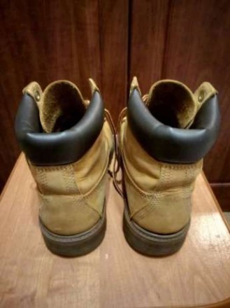 Продам оригинальные ботинки Timberland в отличном состоянии. Покупались в фирмен. . фото 6