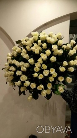 Букет 101 роза 55 см 900 грн. Цветы букеты розы любое количество в любом исполне. . фото 1