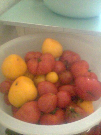 Продаю свои семена коллекционных томатов, выращенных на собственном участке. Сем. . фото 5