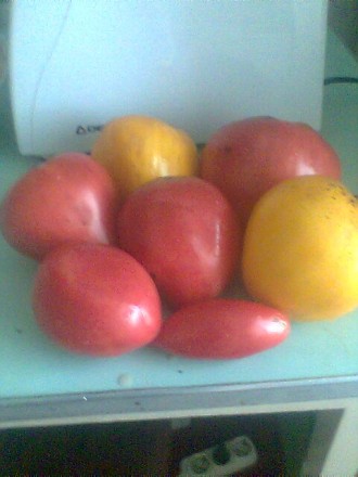 Продаю свои семена коллекционных томатов, выращенных на собственном участке. Сем. . фото 10