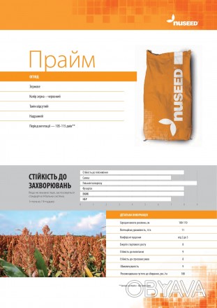 Компанія «AGROVIO», пропонує насіння гібрида  сорго Прайм. 
Виробник компанія N. . фото 1