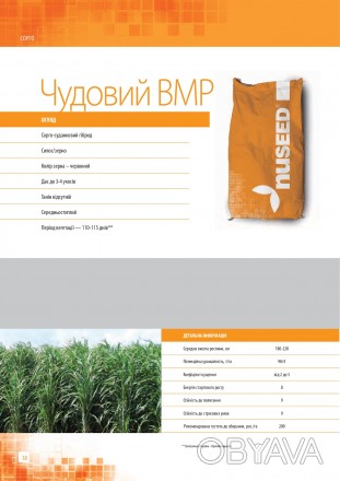Компанія «AGROVIO», пропонує насіння гібрида сорго Чудовий ВМР. 
Виробник компа. . фото 1