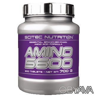 Amino 5600 Scitec Nutrition изготовлены из высококачественного сывороточного про. . фото 1