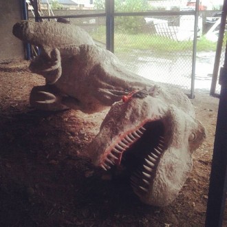 Арт студия Didorak предлагает Вам садово-парковою скульптуру Динозавр T-REX. 

. . фото 9