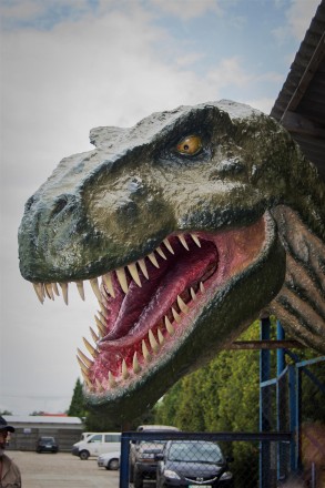 Арт студия Didorak предлагает Вам садово-парковою скульптуру Динозавр T-REX. 

. . фото 6
