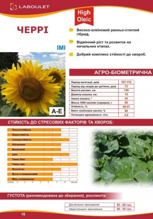 Компанія «AGROVIO», пропонує насіння гібридів соняшника:
LST-907 (ОЛІВАЛ), ЧЕРР. . фото 7