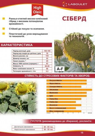 Компанія «AGROVIO», пропонує насіння гібридів соняшника:
LST-907 (ОЛІВАЛ), ЧЕРР. . фото 4