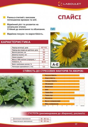 Компанія «AGROVIO», пропонує насіння гібридів соняшника:
LST-907 (ОЛІВАЛ), ЧЕРР. . фото 5