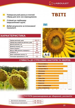Компанія «AGROVIO», пропонує насіння гібридів соняшника:
LST-907 (ОЛІВАЛ), ЧЕРР. . фото 6