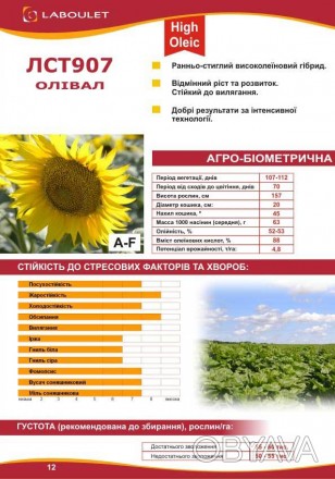 Компанія «AGROVIO», пропонує насіння гібридів соняшника:
LST-907 (ОЛІВАЛ), ЧЕРР. . фото 1