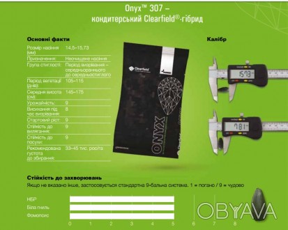 Компанія «AGROVIO» пропонує Преміальні Кондитерські 
Гібриди Соняшнику Онікс: Н. . фото 1