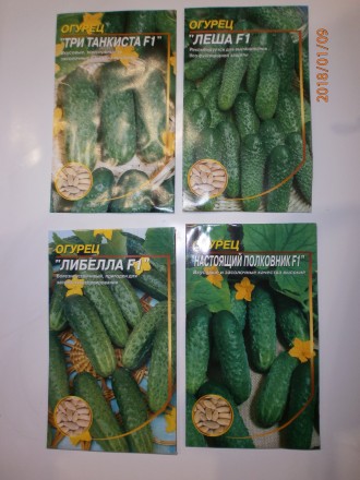 Продам пакетированные семена огурцов- 60 видов, редиса- 15 видов. Огурцы- фасовк. . фото 2