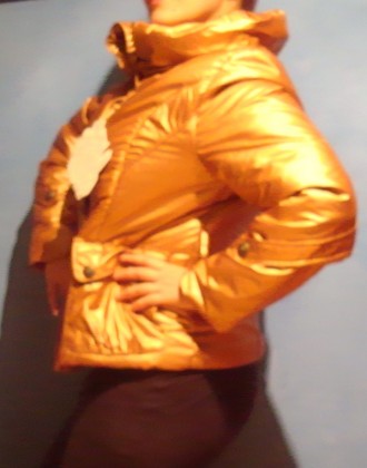 куртка теплая ,новая ,цвет: золотой металик, подкладка шелковая леопардовой расц. . фото 3