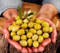 Продам очень ароматное оливковое масло производитель (Греция). Канистры объемом . . фото 4