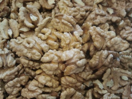 Продаю отборное ядро ореха, сорт светлый, чистый без пыли, сухой, бабочка. Орех . . фото 2