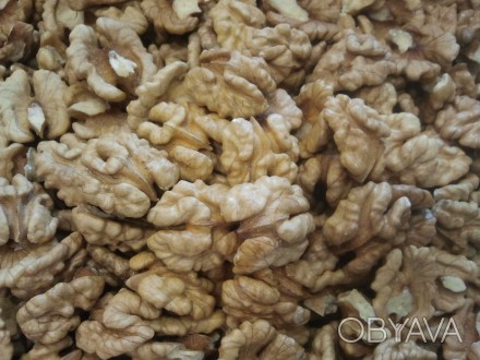 Продаю отборное ядро ореха, сорт светлый, чистый без пыли, сухой, бабочка. Орех . . фото 1