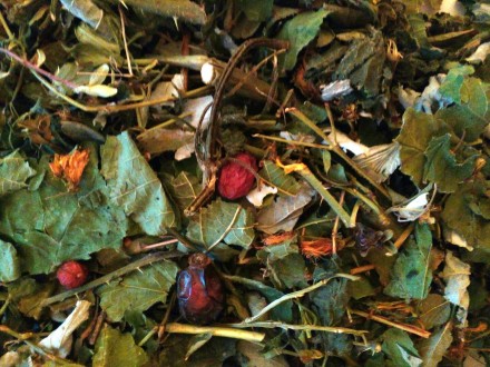 Ми пропонуємо Вашій увазі великий асортимент Карпатського трав’яного чаю на коже. . фото 7