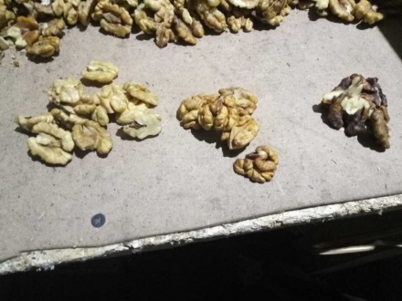 Продам ядро грецкого ореха от 120грн. до 190грн. урожай 2017 года. Отсортирован . . фото 3
