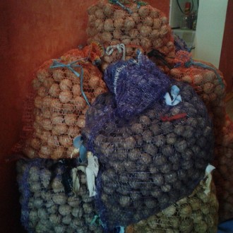 Продам орехи урожая 2017 года, 100 кг. Цена 80 рублей за килограмм. Район центра. . фото 2