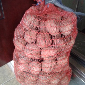Продам орехи урожая 2017 года, 100 кг. Цена 80 рублей за килограмм. Район центра. . фото 3
