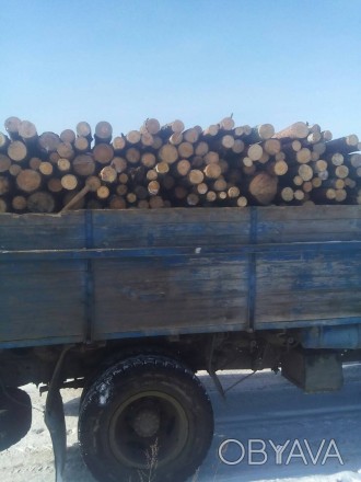 Продам дрова. Сосна, береза. рубаные или в кругляке по 2 метра. доставка по горо. . фото 1