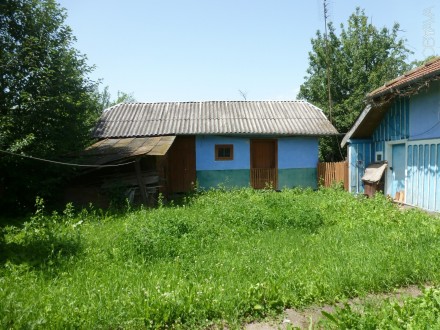 Старенький дерев'яний будиночок, в тихому і спокійному селі. Розміщення будинку . Ильинцы. фото 3