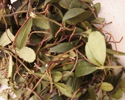 Чай травяний,лист малини,смородини,ожини,суниці,цвіт липи,ромашки,плоди горобини. . фото 4